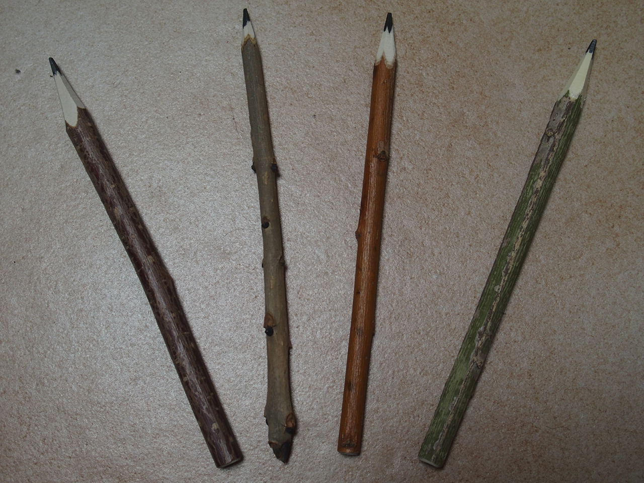 Aucune photo pour cette étape.